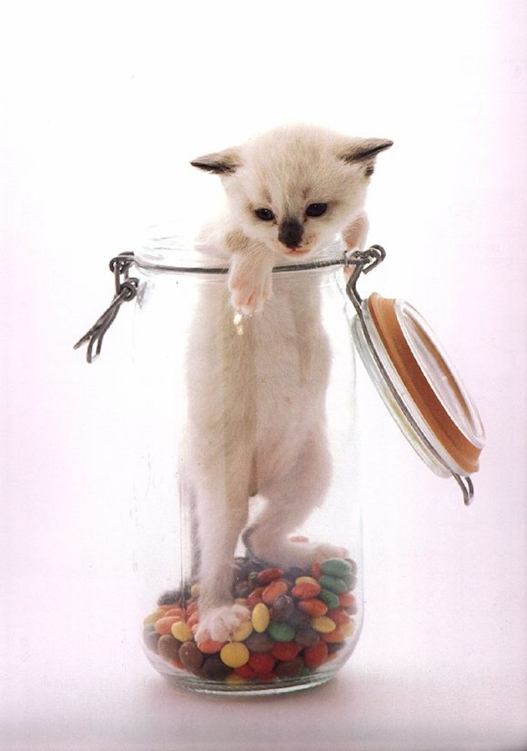 Ad:  resim5.jpg
Gsterim: 459
Boyut:  76.2 KB