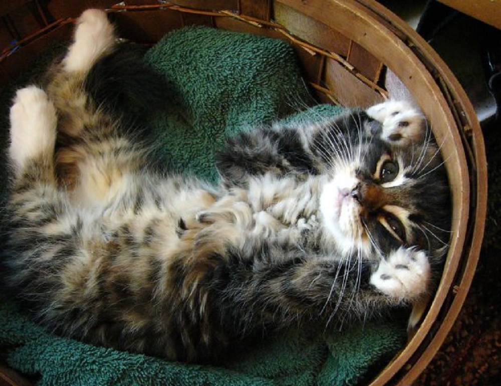 Ad:  7.jpg
Gsterim: 255
Boyut:  243.5 KB