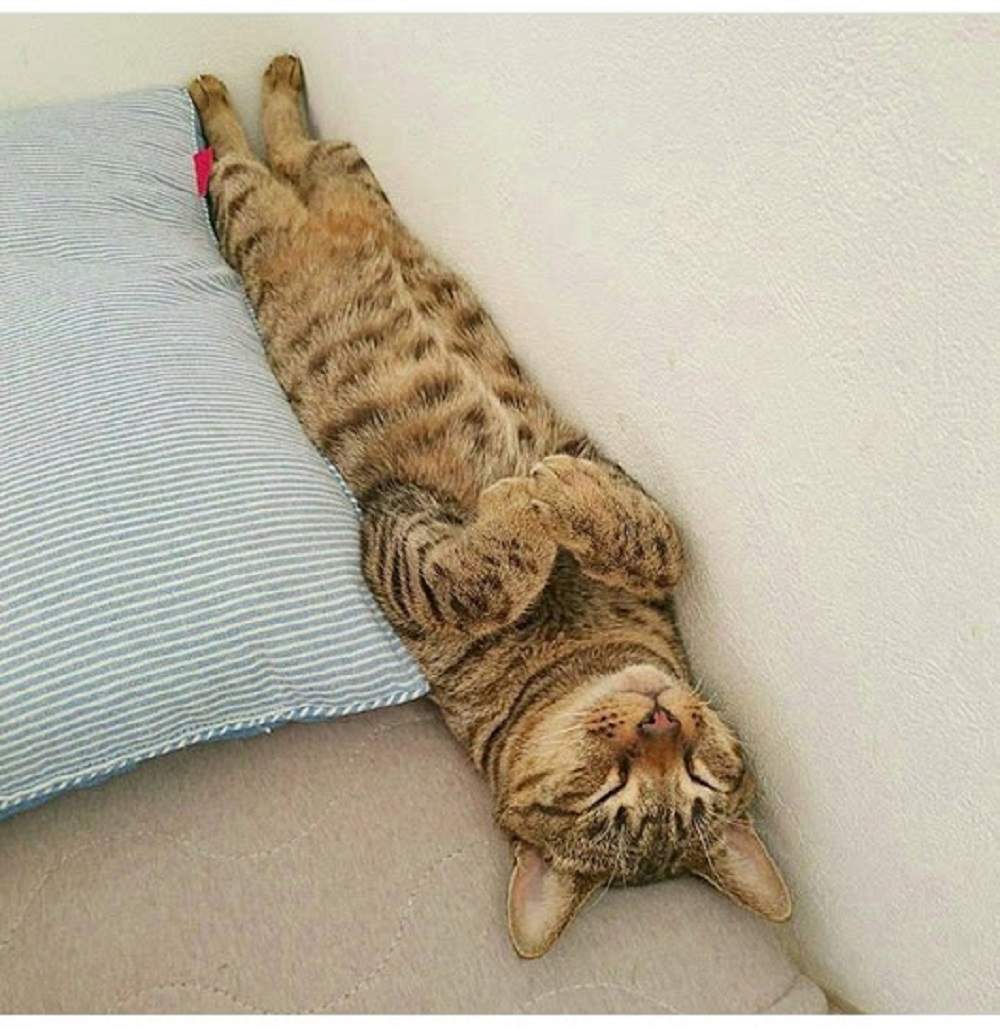 Ad:  18.04.2017 - 1.jpg
Gsterim: 620
Boyut:  270.3 KB