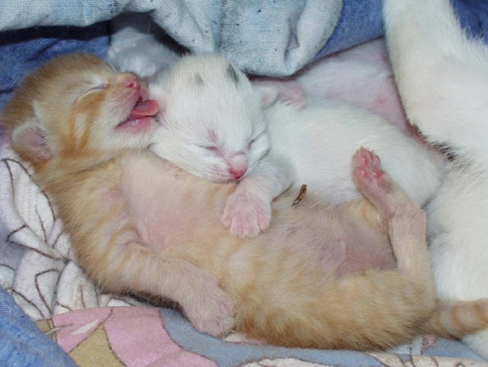 Ad:  15824_886082034814009_5708566077688494188_n.jpg
Gsterim: 252
Boyut:  192.7 KB