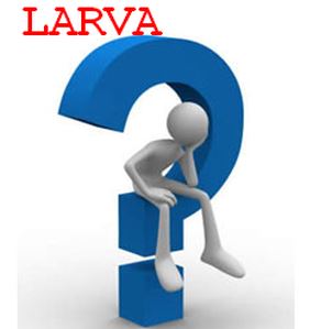 Ad:  larva.JPG
Gsterim: 397
Boyut:  16.6 KB