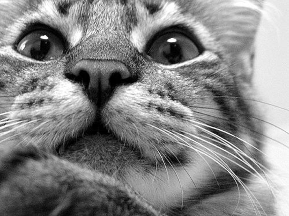 Ad:  6481762_3d2c7e79f7.jpg
Gsterim: 1282
Boyut:  212.2 KB