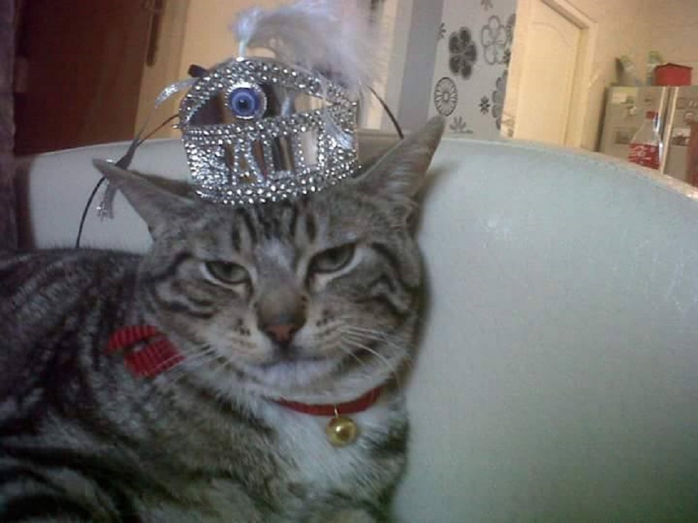 Ad:  12400494_10204579483721078_9098126513945250061_n.jpg
Gsterim: 285
Boyut:  143.6 KB