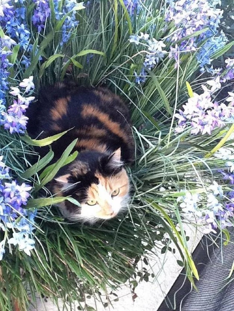 Ad:  12039541_962040737151922_225246062804421591_n.jpg
Gsterim: 313
Boyut:  241.8 KB