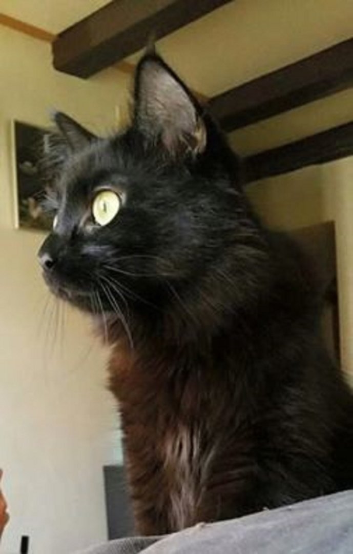 Ad:  13125009_1082857771770440_3773678389751365452_n.jpg
Gsterim: 233
Boyut:  64.0 KB