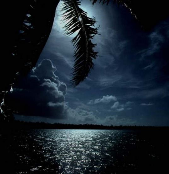 Ad:  mk8.JPG
Gsterim: 454
Boyut:  41.3 KB