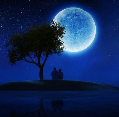 Ad:  mk10.JPG
Gsterim: 316
Boyut:  23.5 KB