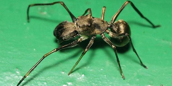 Ad: 5c0396b7ae78492430aa5e9f.jpg
Gösterim: 469
Boyut: 52.5 KB