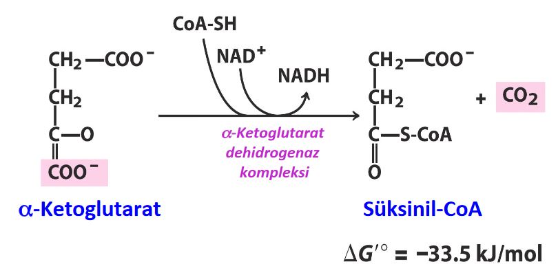 Ad:  4.JPG
Gsterim: 691
Boyut:  41.1 KB