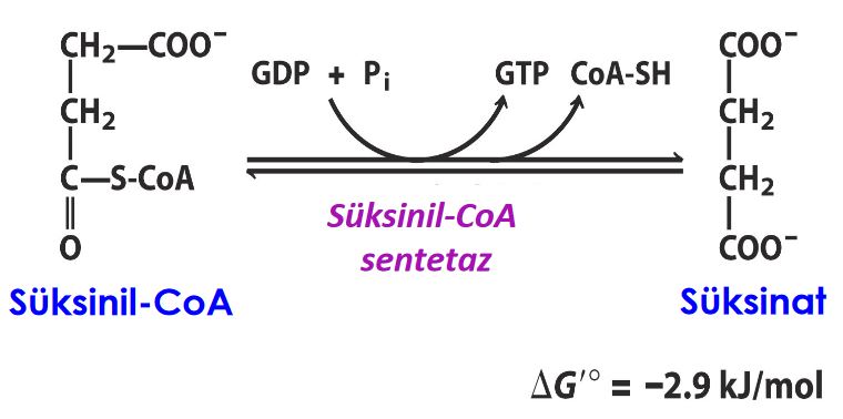 Ad:  5.JPG
Gsterim: 820
Boyut:  39.1 KB