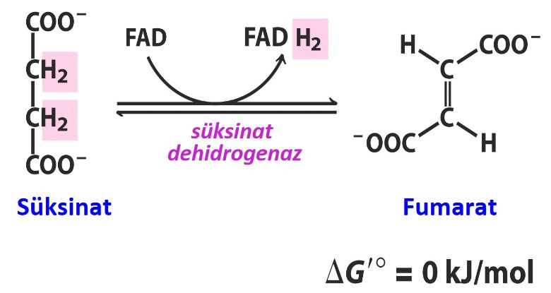Ad:  6.JPG
Gsterim: 909
Boyut:  39.1 KB