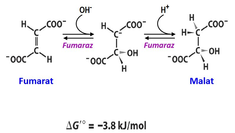 Ad:  7.JPG
Gsterim: 647
Boyut:  36.9 KB