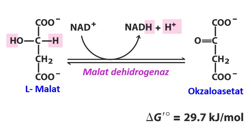 Ad:  8.JPG
Gsterim: 567
Boyut:  38.4 KB