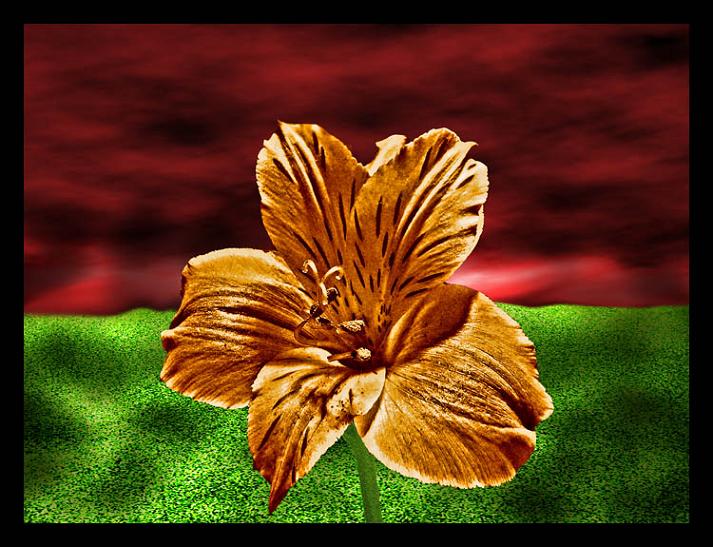 Ad:  flower_for_posting.jpg
Gsterim: 278
Boyut:  75.5 KB