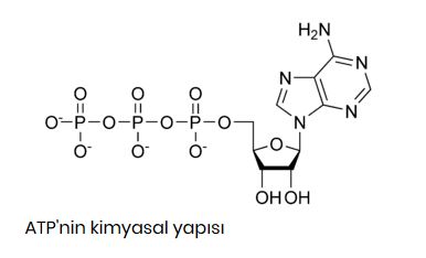 Ad:  atp.JPG
Gsterim: 327
Boyut:  16.6 KB