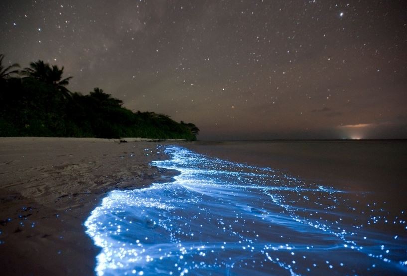 Ad:  no3.JPG
Gsterim: 169
Boyut:  65.7 KB