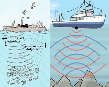 Ad:  sonar2.JPG
Gsterim: 2056
Boyut:  28.1 KB