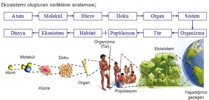 Ad: eko8.JPG
Gösterim: 2124
Boyut: 53.0 KB Ad: eko8.JPG
Gösterim: 2124
Boyut: 53.0 KB