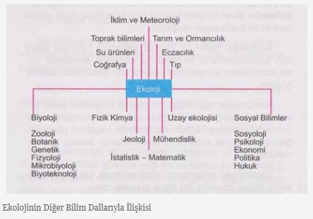 Ad:  ekoloji.JPG
Gsterim: 1201
Boyut:  26.6 KB