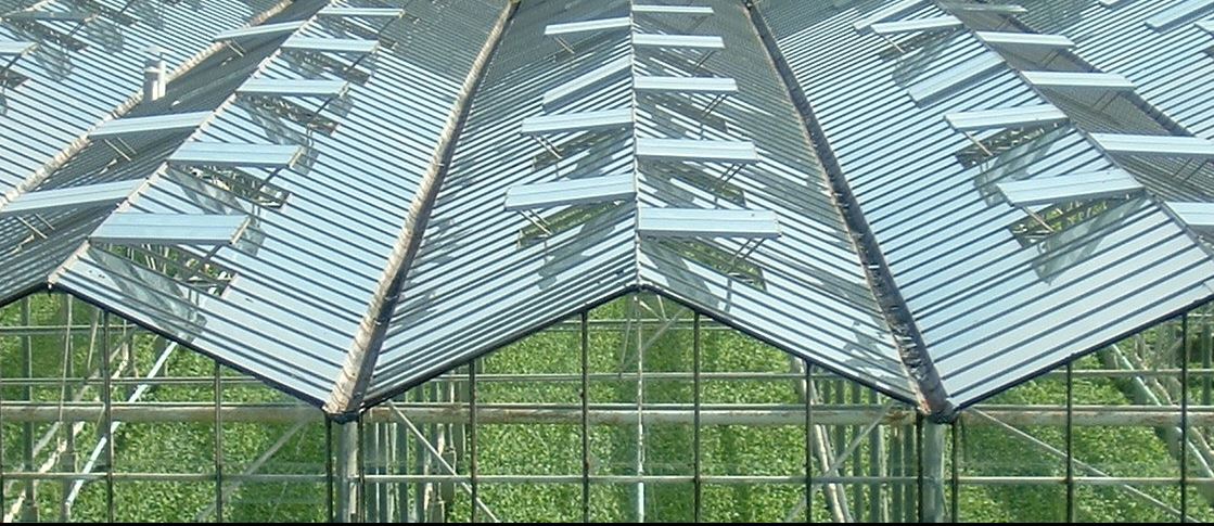 Ad:  gne1.JPG
Gsterim: 408
Boyut:  174.8 KB