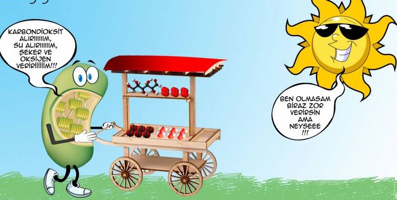 Al�nt�daki Ek 68531