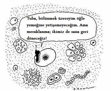 Ad:  kar3.JPG
G�sterim: 274
Boyut:  49.4 KB