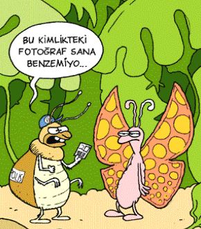 Ad:  kar2.JPG
G�sterim: 284
Boyut:  40.5 KB