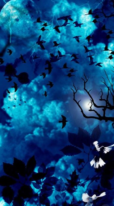 Ad:  mavi7.JPG
Gsterim: 174
Boyut:  54.1 KB