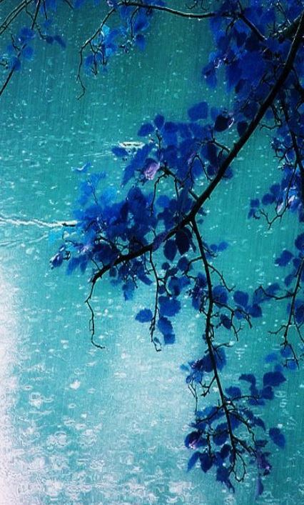 Ad:  mavi9.JPG
Gsterim: 244
Boyut:  81.0 KB