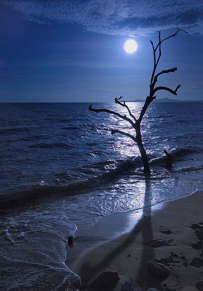 Ad:  mavi12.JPG
Gsterim: 183
Boyut:  57.0 KB