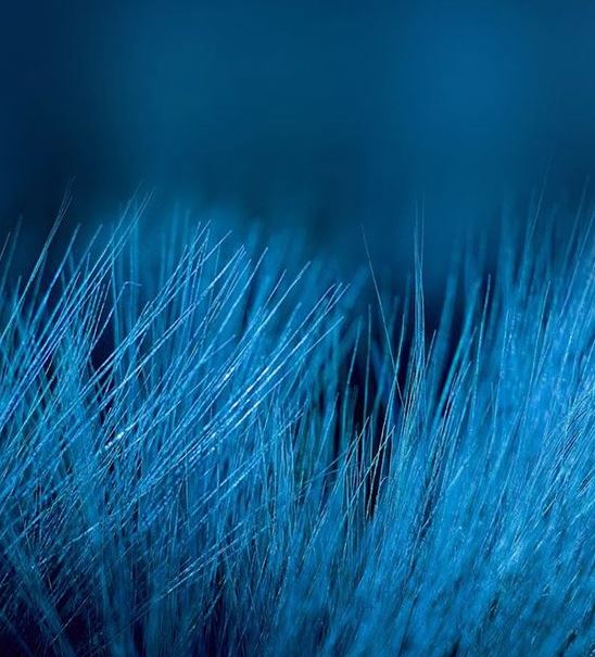 Ad:  mavi25.JPG
Gsterim: 188
Boyut:  66.1 KB