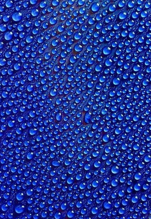 Ad:  mavi27.JPG
Gsterim: 125
Boyut:  141.9 KB