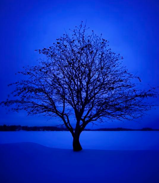 Ad:  mavi30.JPG
Gsterim: 177
Boyut:  58.7 KB