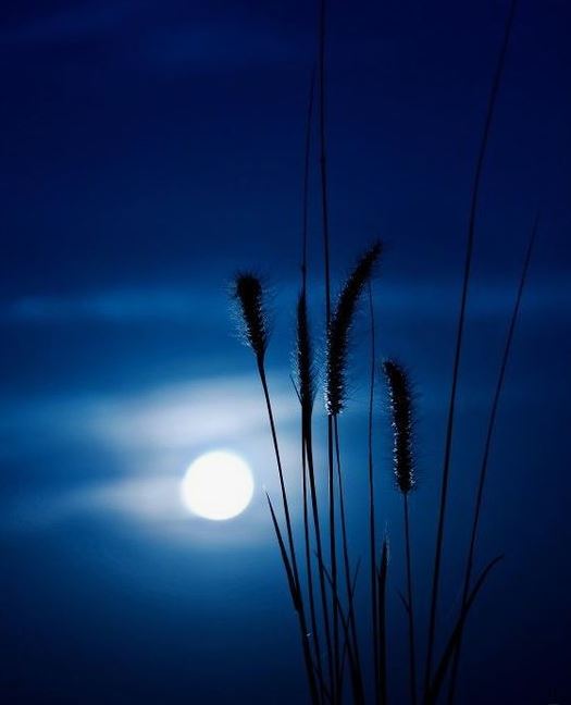 Ad:  mavi44.JPG
Gsterim: 151
Boyut:  29.2 KB