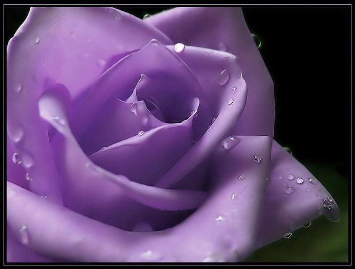 Ad:  reso14.JPG
Gsterim: 341
Boyut:  33.1 KB