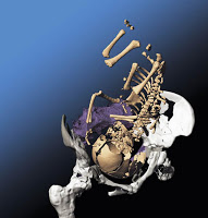 Ad: doğum.jpg
Gösterim: 559
Boyut: 12.9 KB