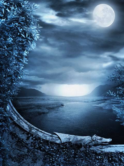 Ad:  24.jpg
Gsterim: 425
Boyut:  59.0 KB