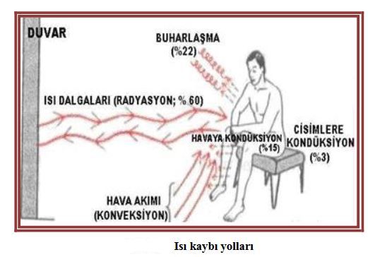 Ad:  s.JPG
Gsterim: 1850
Boyut:  34.9 KB