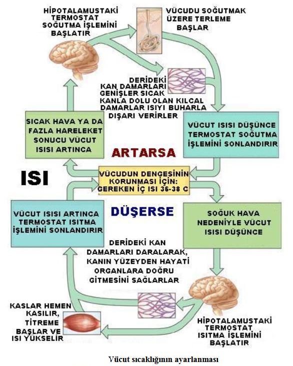 Ad:  s1.JPG
Gsterim: 3811
Boyut:  92.2 KB