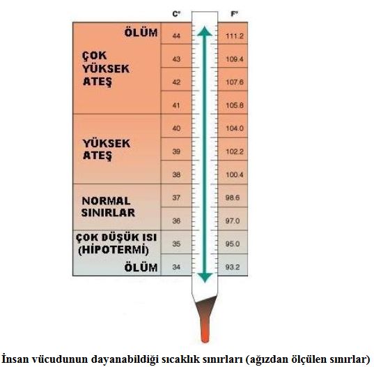 Ad:  s3.JPG
Gsterim: 4371
Boyut:  37.7 KB