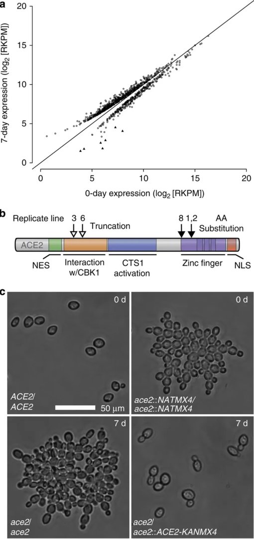 Ad:  Evrim Aac.jpg
Gsterim: 267
Boyut:  67.8 KB