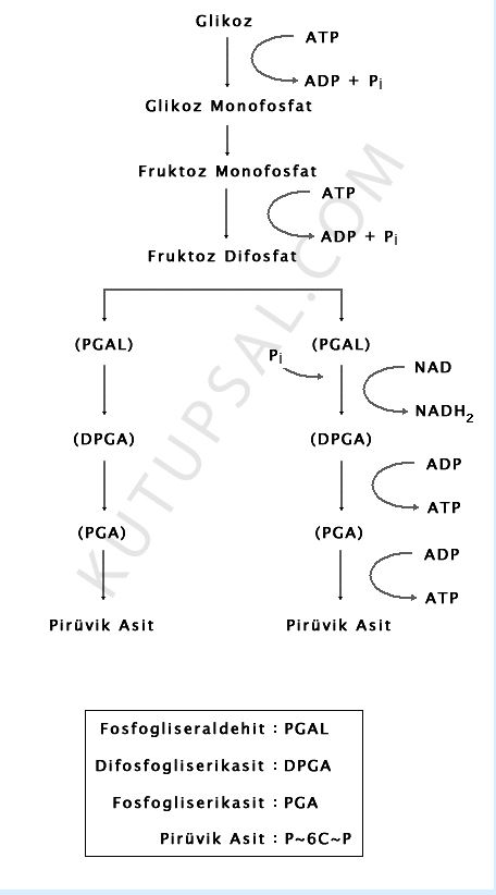 Ad:  e1.JPG
Gsterim: 1126
Boyut:  45.1 KB