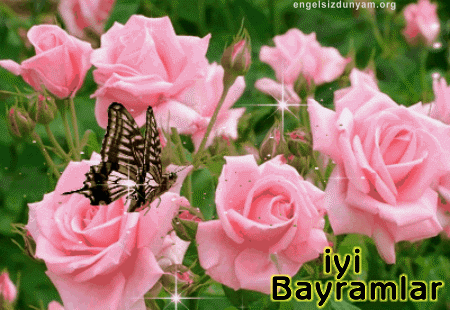 Ad:  bayramkutlamasi88.gif
Gsterim: 1244
Boyut:  869.1 KB