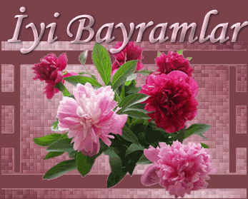 Ad:  unnamed.gif
Gsterim: 1215
Boyut:  78.2 KB