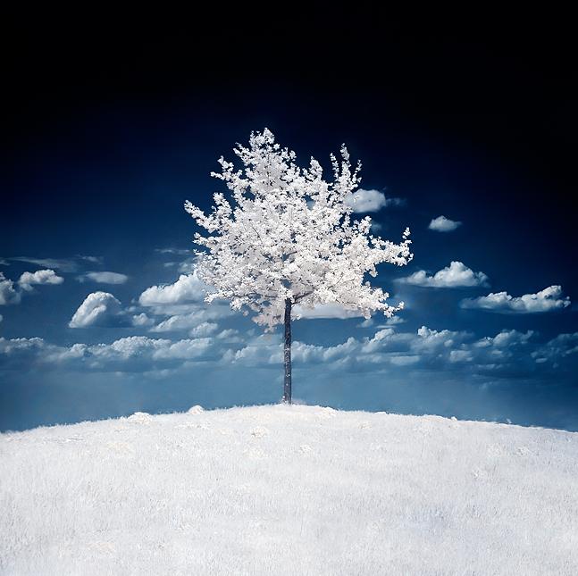 Ad:  Top_Of_The_World_by_Gwarf.jpg
Gsterim: 274
Boyut:  76.1 KB