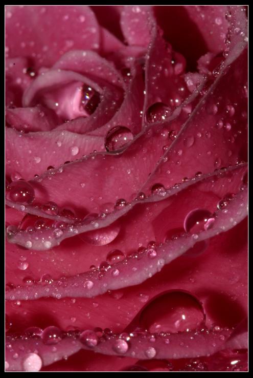 Ad:  img_6173_s.jpg
Gsterim: 204
Boyut:  48.1 KB