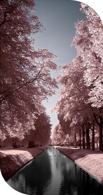 Ad:  Along_The_River_by_Gwarf.jpg
Gsterim: 157
Boyut:  77.1 KB