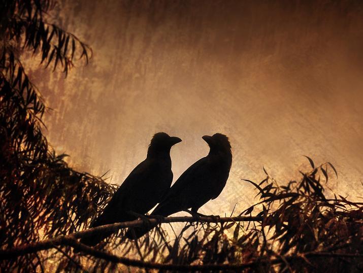 Ad:  Dark_Lovers_by_SubterfugeMalaises.jpg
Gsterim: 251
Boyut:  72.8 KB