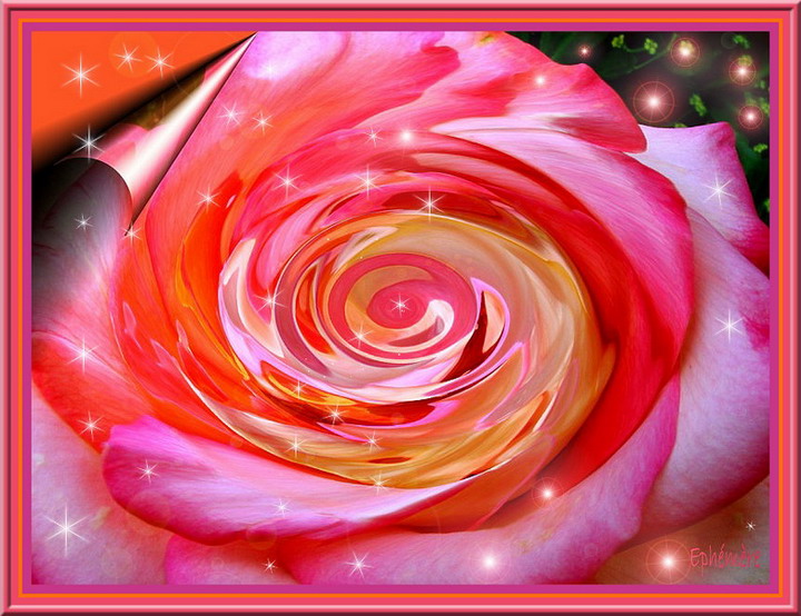 Ad:  rose_ephemere.jpg
Gsterim: 400
Boyut:  128.3 KB