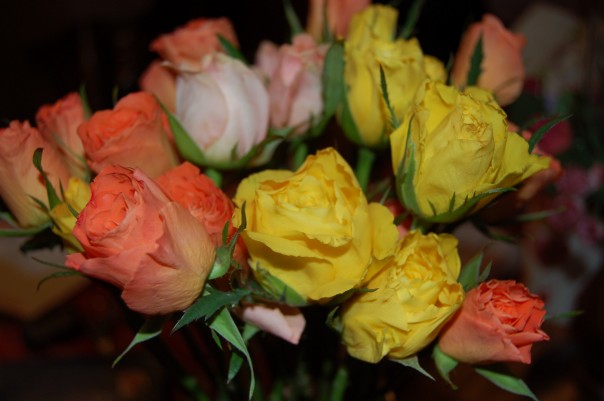 Ad:  best.jpg
Gsterim: 326
Boyut:  47.9 KB